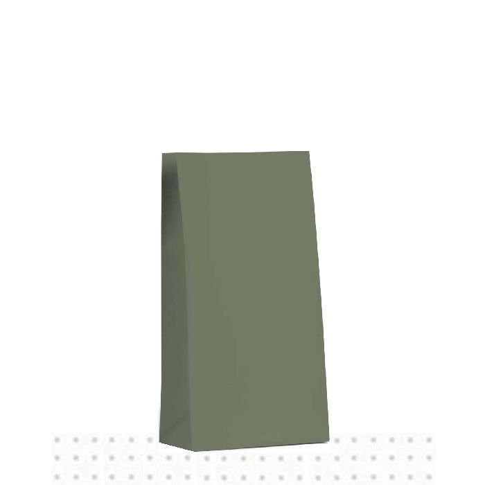 Medium Earth Green Earth Collection Gift Bag 500/ctn 260x130x80