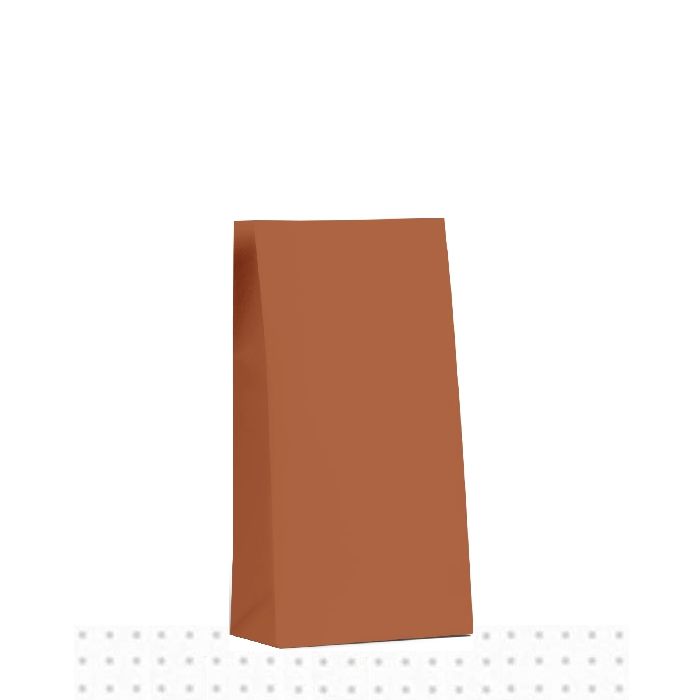 Medium Burnt Orange Earth Collection Gift Bag 500/ctn 260x130x80