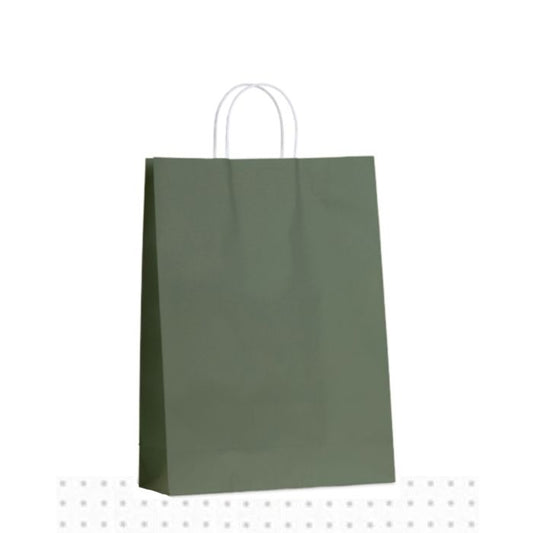 Large Earth Green Earth Collection 100/ctn 420x310x110