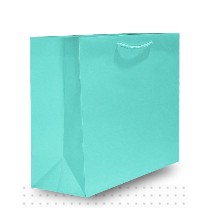 LARGE Matte Aqua Lux 50/ctn 330x405x120