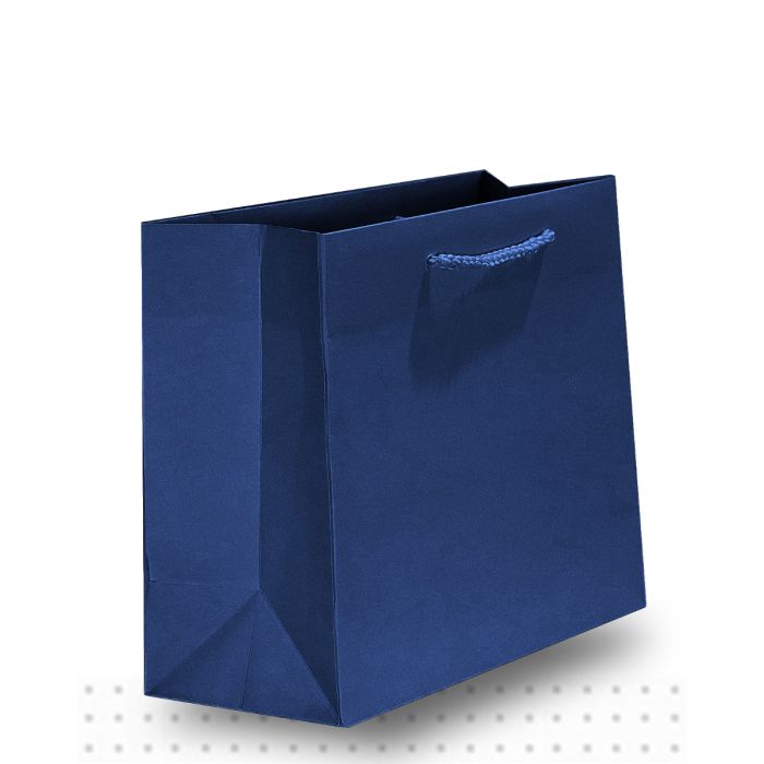 SMALL Matte Navy Lux 200/ctn 200x250x100