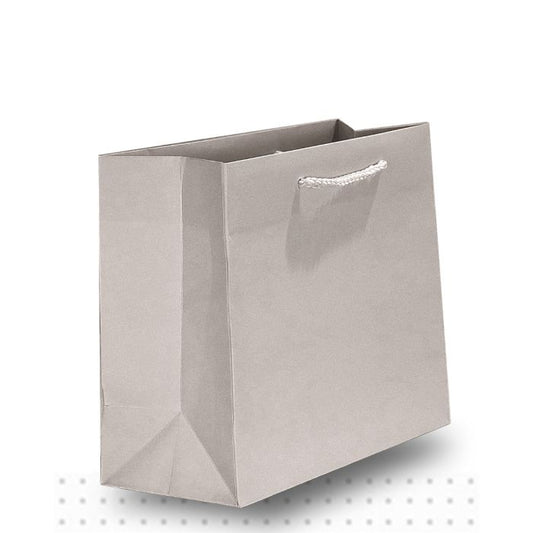 SMALL Matte Platinum Lux 200/ctn 200x250x100