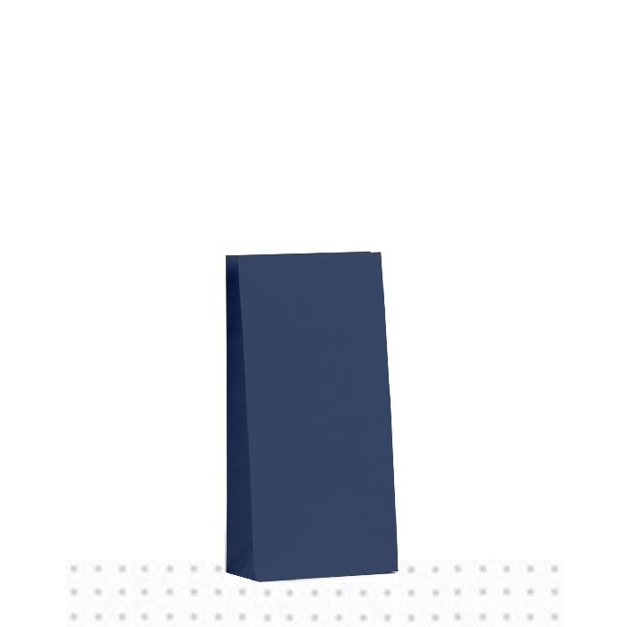 Small Navy Blue Earth Collection Gift Bag 500/ctn 210x100x50
