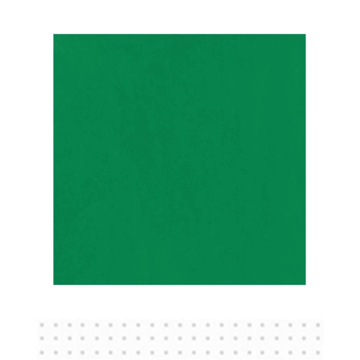 TISSUE Green 480pcs 500x760