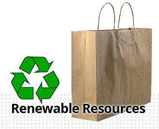 Sustainable Paper Bags